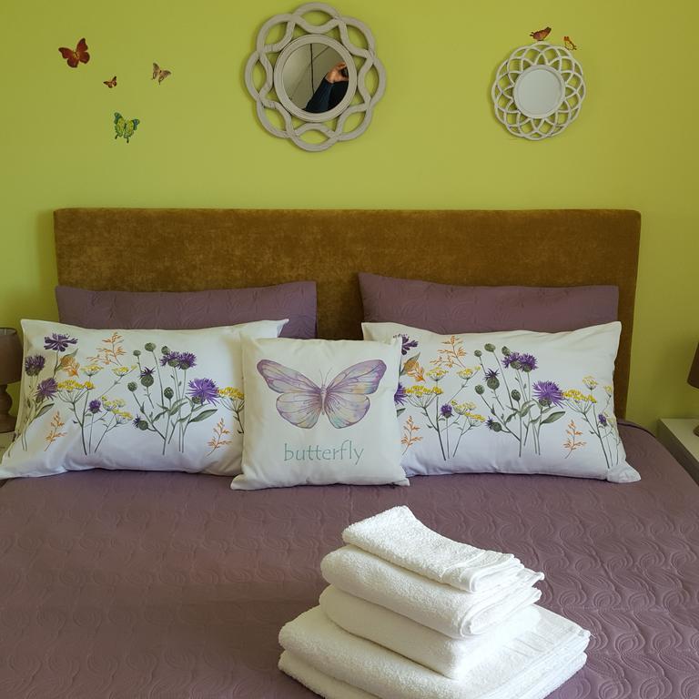Sweet Butterflies Residence Brasov Exterior photo