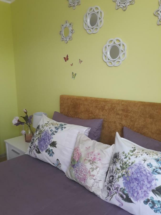 Sweet Butterflies Residence Brasov Exterior photo